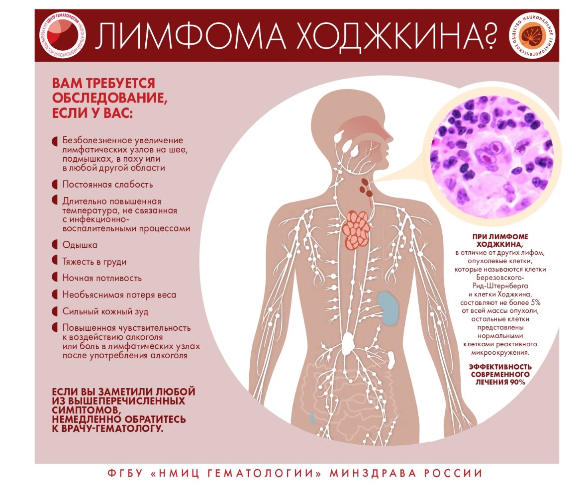 О заболеваниях системы крови page 0005