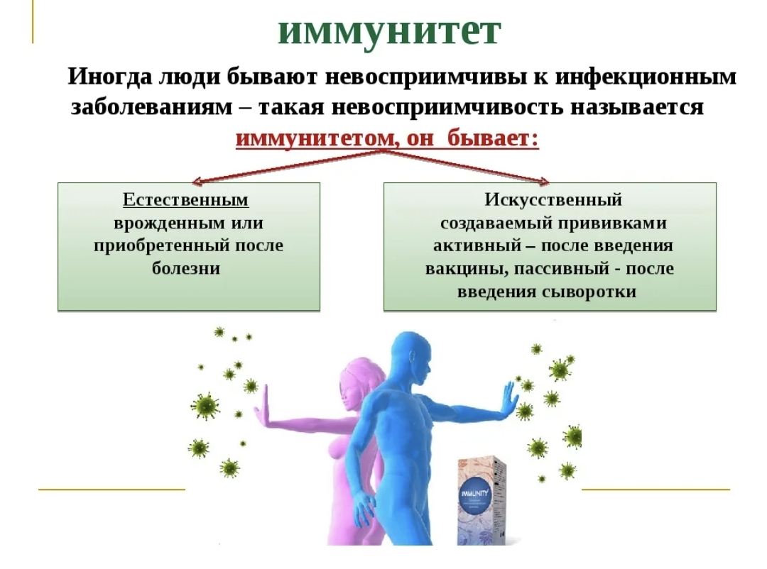 Состояние организма при котором замедляется жизненные процессы. Иммунитет. Иммунитет человека. Иммунитет физиология. Инфекция и иммунитет.