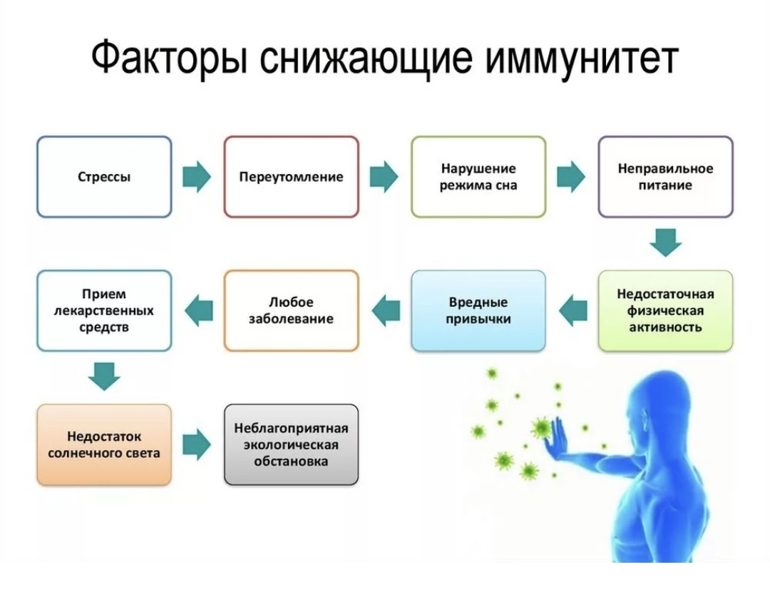 Иммунно поддерживающие. Факторы влияющие на снижение иммунитета. Факторы, снижающие иммунитет организма. Ослабление иммунитета факторы. Факторы влияющие на иммунитет человека.