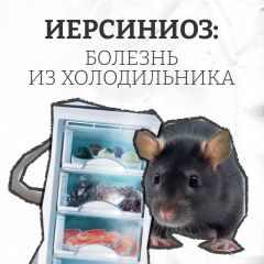IMG 20240711 054151